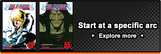 Start BLEACH at a specific arc