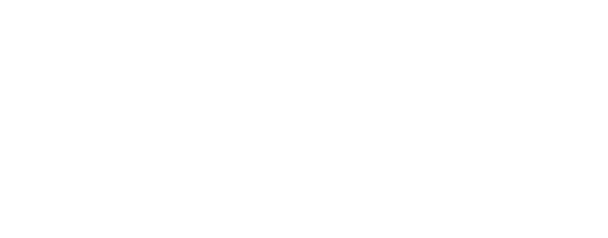 VIZ Media Logo